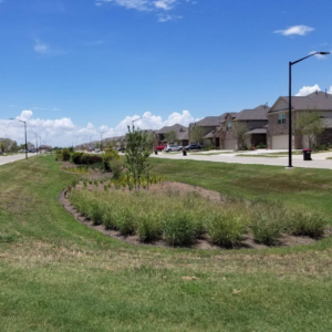 Dry Swale An open grassed convenance channel that filters, spreads, and detains stormwater runoff as it moves downstream.