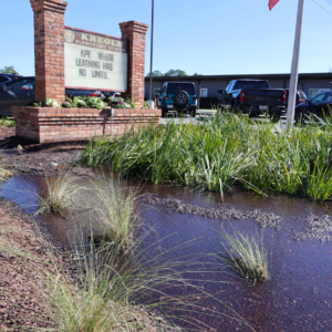 A raingarden in front of Kreole Elementary School in Moss Point, MS filled with water and fully functioning.
