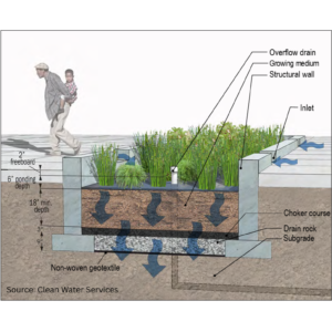 Diagram showing a Flow-Through Planter where stormwater is being directed to the planter via curb cuts. The vegetation in the planter will work to clean runoff.